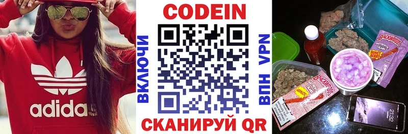 OMG ONION купить Никольск Кодеиновый сироп Lean напиток Lean (лин)